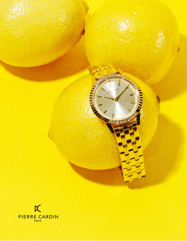 PIERRE CARDIN Ladies Watch